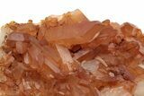 Tangerine Quartz Crystal Cluster - Brazil #229494-1